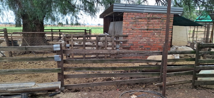 Commercial Property for Sale in Bainsvlei Free State